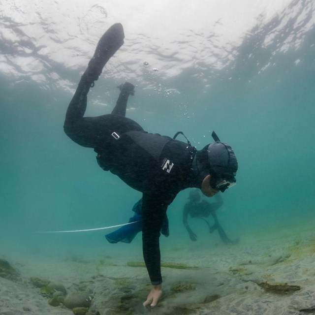 a diver reaches to the seafloor 